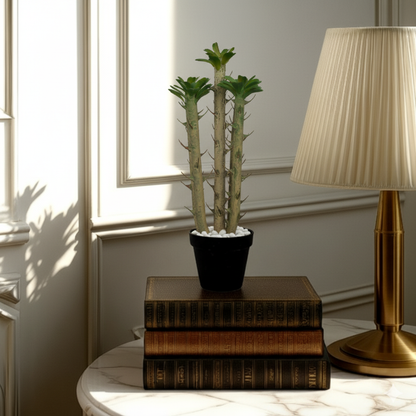 1 Ft Artificial Tropical Thorn Cactus – Realistic Faux Desert Plant Without Pot for Indoor Home &amp; Office Décor