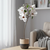Small wooden table with a potted plant in a living room setting
