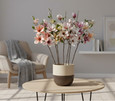 Potted plant on a coffee table in a living room setting