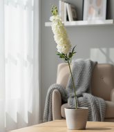 White flowers in a pot on a table with a cozy living room background