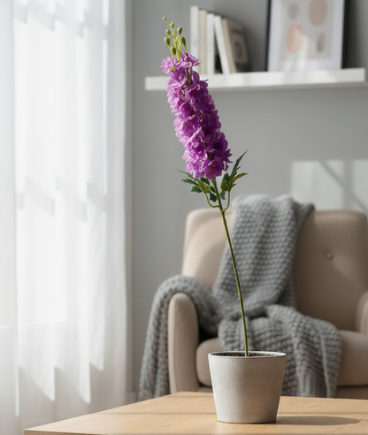 Purple flower in a pot on a table with a blurred background of a living room.