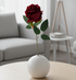 Red rose in a white vase on a wooden coffee table in a modern living room.