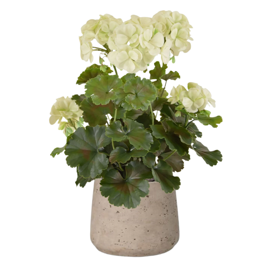 1.5 Ft Artificial Geranium PL plant 38cm cream UV proof – perfect for modern home decor
