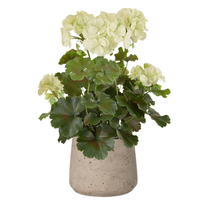 1.5 Ft Artificial Geranium PL plant 38cm cream UV proof – perfect for modern home decor