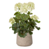 1.5 Ft Artificial Geranium PL plant 38cm cream UV proof – perfect for modern home decor