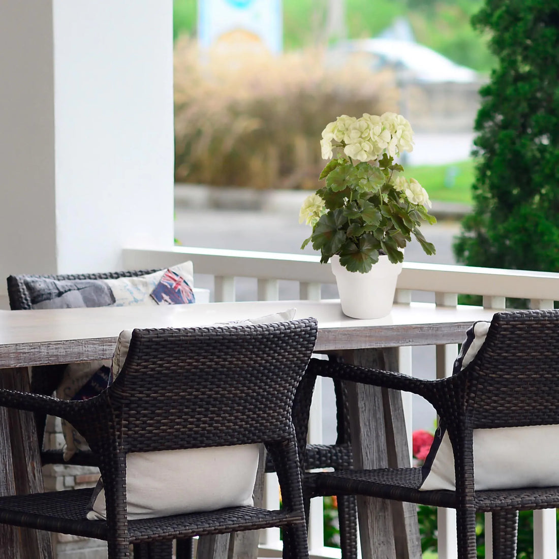 1.5 Ft Artificial Geranium PL plant 38cm cream UV proof – brightens up dull corners effortlessly