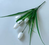 White tulips with green leaves on a light blue background