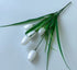 White tulips with green leaves on a light blue background