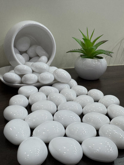 White decorative stones with a white container and green plant on a dark surface
