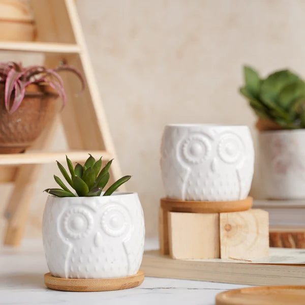 White Ceramic Owl Pot