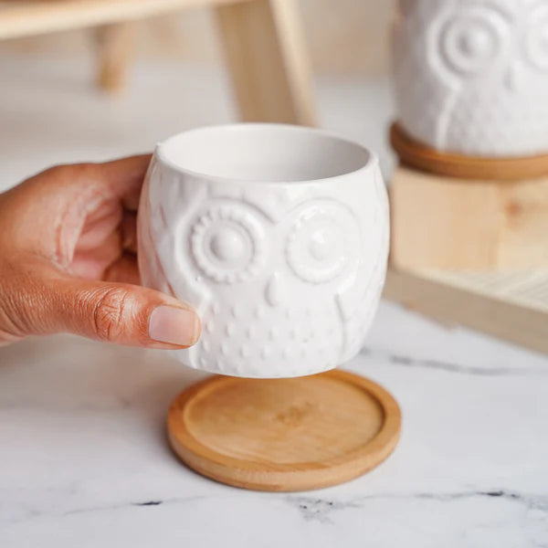White Ceramic Owl Pot