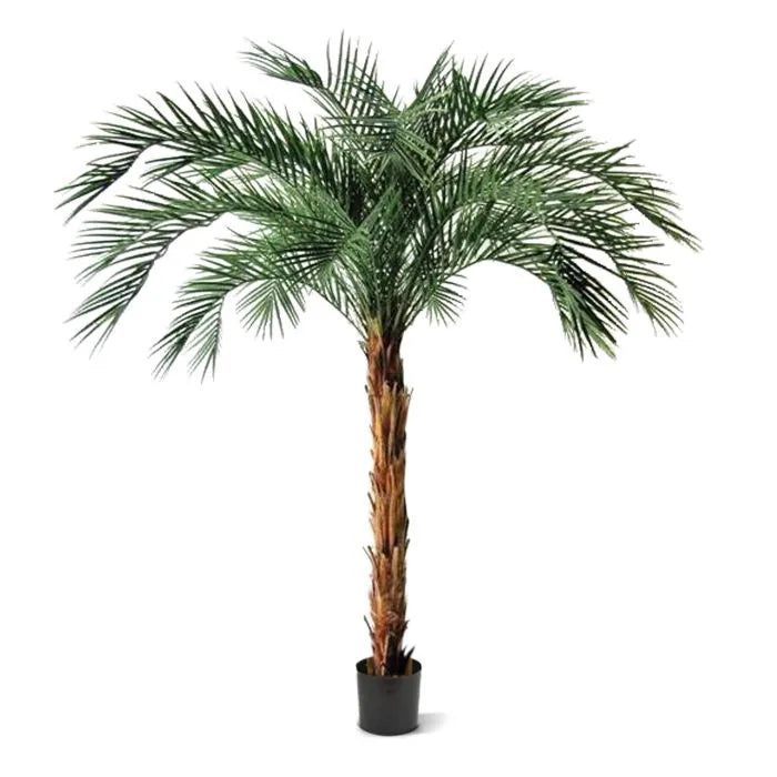 6 Ft Artificial Phoenix Palm OD Deluxe 225cmArtificial Phoenix Palm OD Deluxe 225cm – adds a lush green touch to interiors