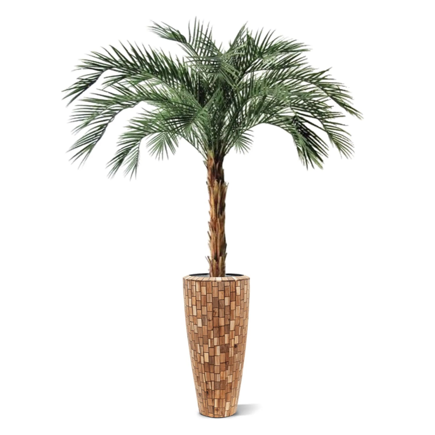 6 Ft Artificial Phoenix Palm OD Deluxe 225cmArtificial Phoenix Palm OD Deluxe 225cm – faux greenery with vibrant texture