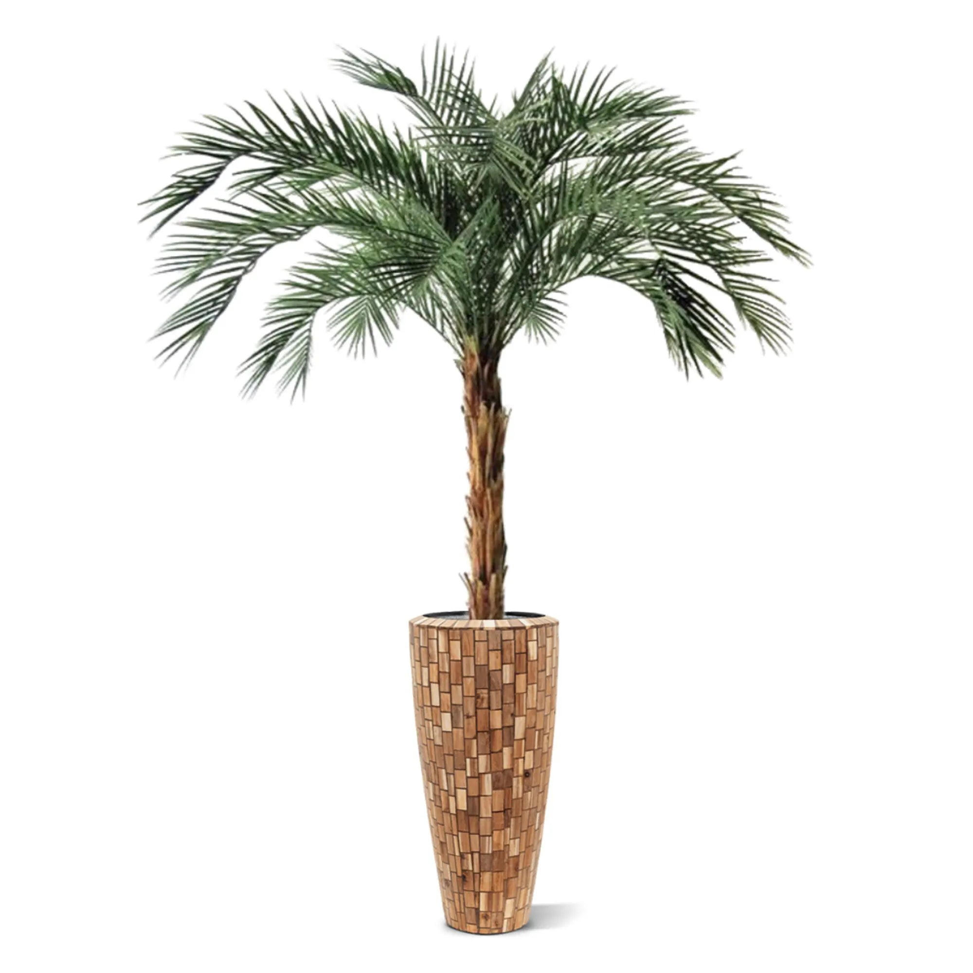 6 Ft Artificial Phoenix Palm OD Deluxe 225cmArtificial Phoenix Palm OD Deluxe 225cm – faux greenery with vibrant texture
