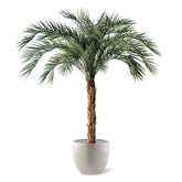 6 Ft Artificial Phoenix Palm OD Deluxe 225cmArtificial Phoenix Palm OD Deluxe 225cm – crafted for realistic tropical vibes