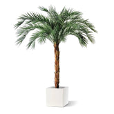 6 Ft Artificial Phoenix Palm OD Deluxe 225cmArtificial Phoenix Palm OD Deluxe 225cm – decorative plant with zero maintenance