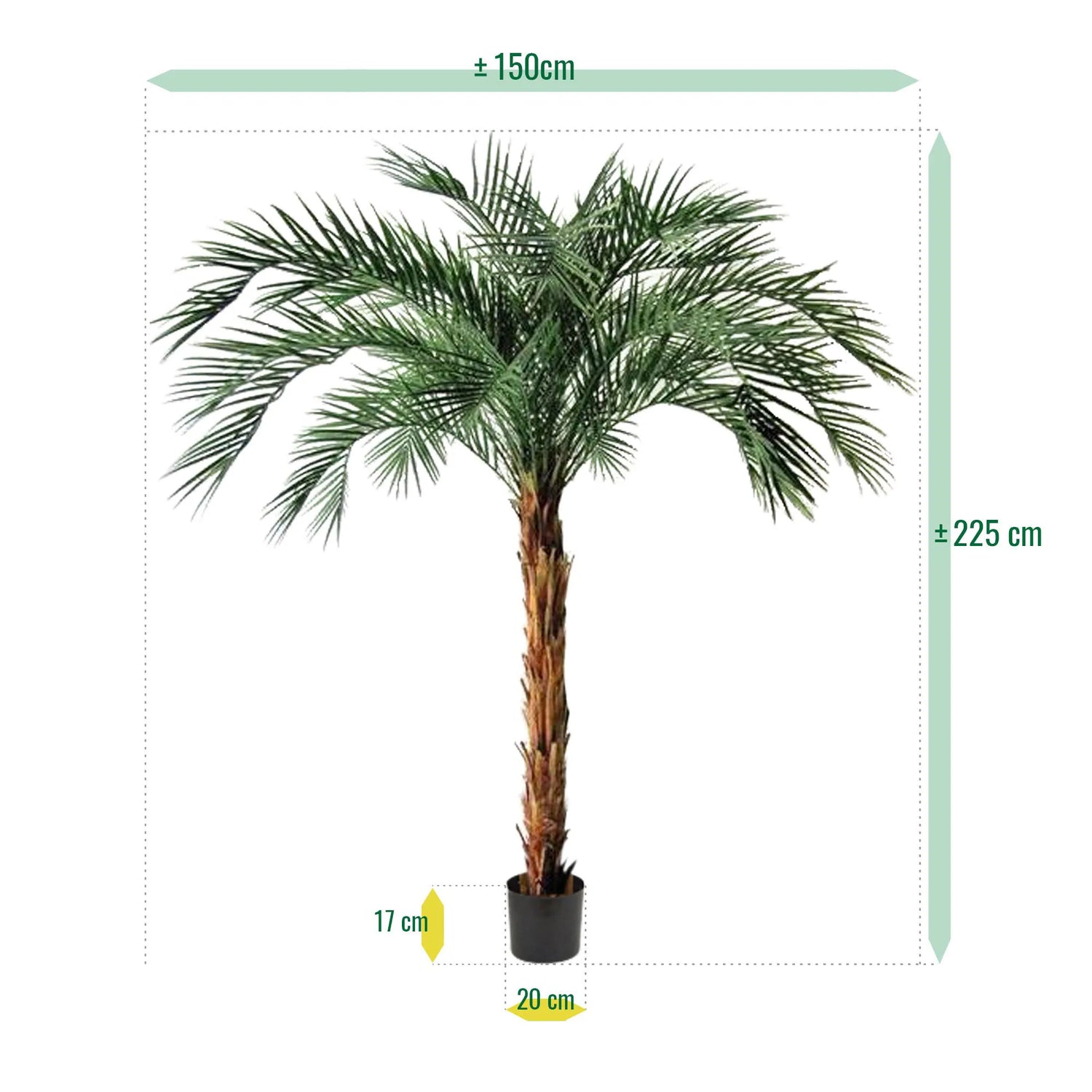 6 Ft Artificial Phoenix Palm OD Deluxe 225cmArtificial Phoenix Palm OD Deluxe 225cm – brightens up dull corners effortlessly