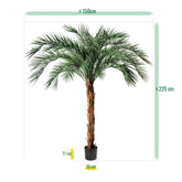 6 Ft Artificial Phoenix Palm OD Deluxe 225cmArtificial Phoenix Palm OD Deluxe 225cm – brightens up dull corners effortlessly