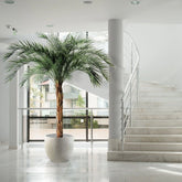 6 Ft Artificial Phoenix Palm OD Deluxe 225cmArtificial Phoenix Palm OD Deluxe 225cm – ideal for indoor botanical themes