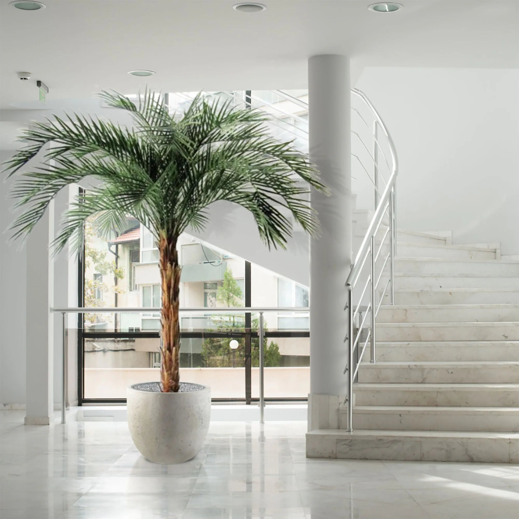 6 Ft Artificial Phoenix Palm OD Deluxe 225cmArtificial Phoenix Palm OD Deluxe 225cm – ideal for indoor botanical themes