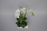 Artificial white orchid centerpiece for table, shelf, or reception area