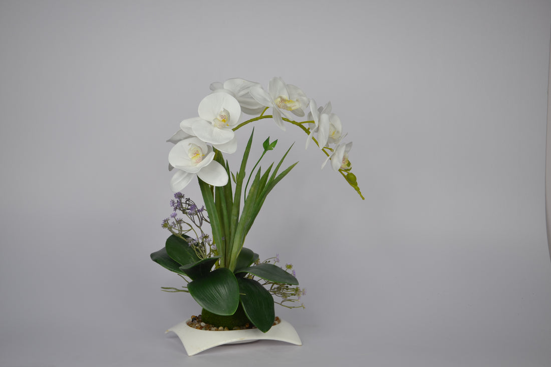 Realistic faux white orchid flowers for modern home or office décor