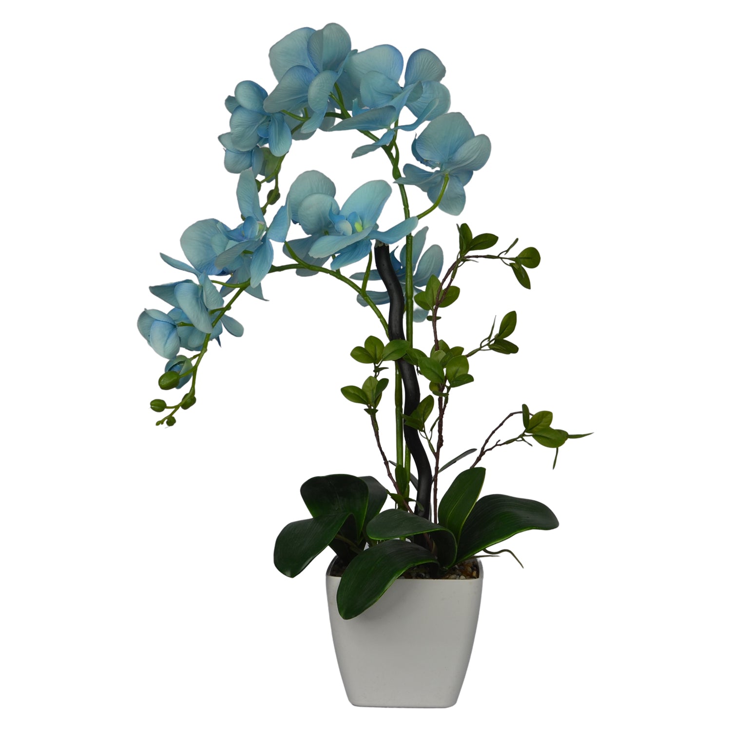 2 Ft Artificial Orchid Arrangement – Elegant Sky Blue Faux Blooms with Decorative Pot for Home, Office &amp; Indoor Décor
