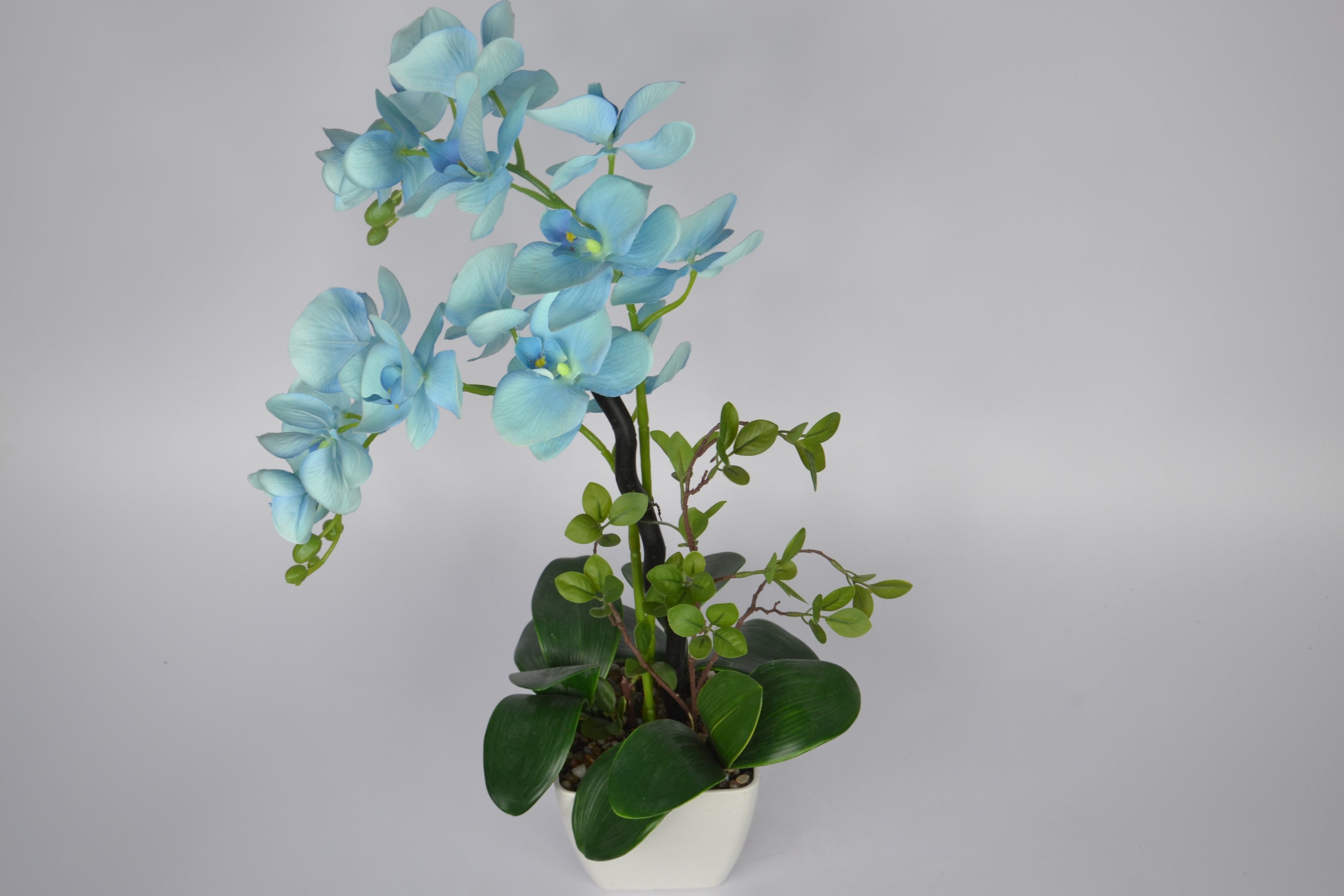 2 Ft Artificial Orchid Arrangement – Elegant Sky Blue Faux Blooms with Decorative Pot for Home, Office &amp; Indoor Décor
