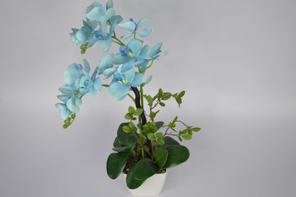2 Ft Artificial Orchid Arrangement – Elegant Sky Blue Faux Blooms with Decorative Pot for Home, Office &amp; Indoor Décor
