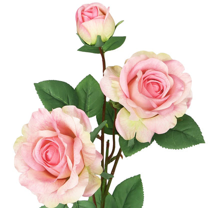 Pink roses with green leaves on a white background