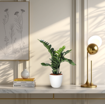 Decorative setup with a potted plant, books, and a lamp on a shelf.