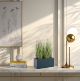 Decorative setup with a plant, books, and a lamp on a shelf against a light wall.