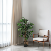 Modern chair with white cushion next to a potted plant in a room with light gray walls and white curtains.