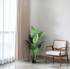 Modern room with a plant and a chair against a white wall.