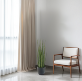 Modern room with beige curtains, a potted plant, and a wooden chair with white cushion.