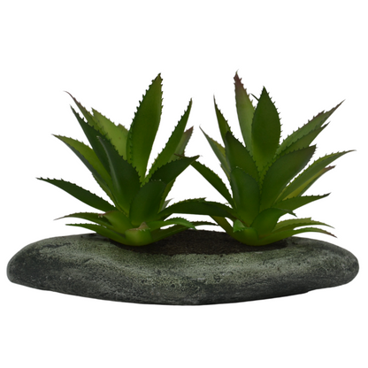 6&quot; Artificial Cactus in Ceramic Pot – Mini Faux Desert Plant for Home, Office &amp; Tabletop Décor