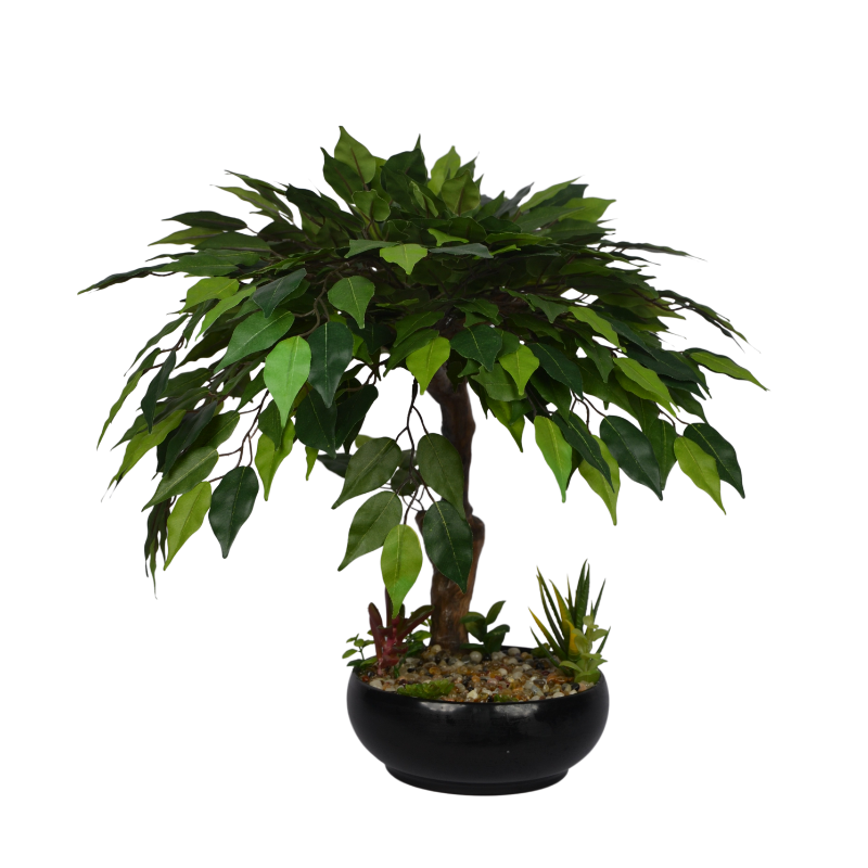 2 Ft Artificial Green Ficus Bonsai – Mini Faux Tree with Realistic Leaves &amp; Decorative Pot for Home, Office &amp; Zen Décor