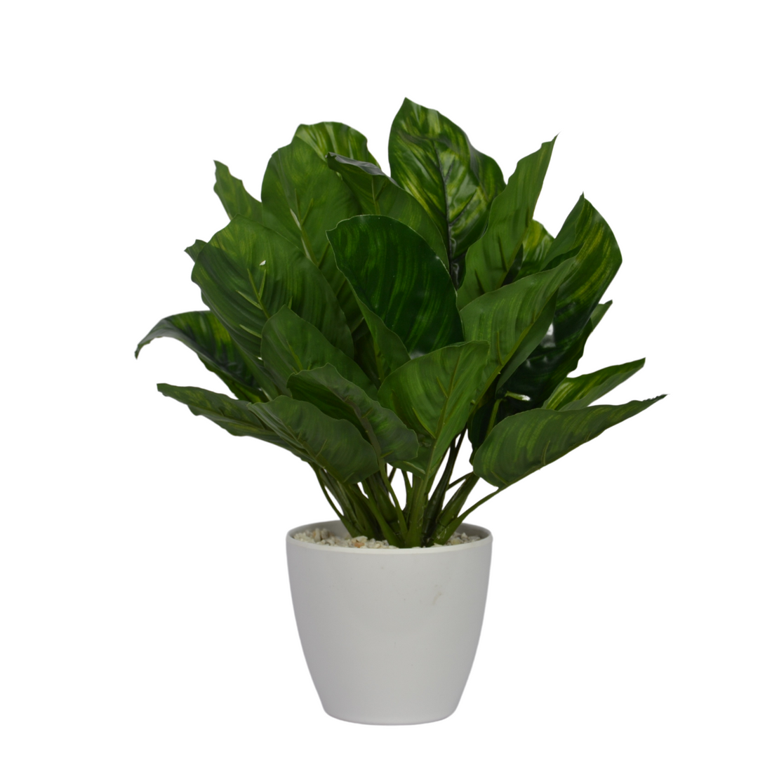1 Ft Artificial Chinese Evergreen Plant – Variegated Faux Greenery with Decorative Pot for Home &amp; Office Décor