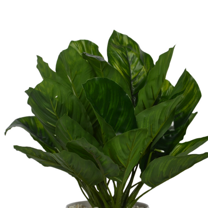 1 Ft Artificial Chinese Evergreen Plant – Variegated Faux Greenery with Decorative Pot for Home &amp; Office Décor