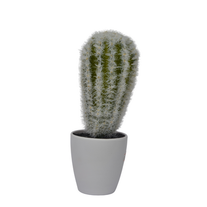 8&quot; Artificial Polaskia Cactus – Realistic Faux Desert Plant Without Pot for Indoor Home, Office &amp; Shelf Décor