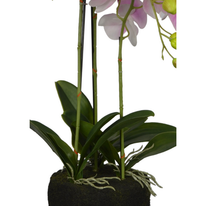 2 Ft Artificial Pink Orchid Arrangement – Elegant Faux Blooms with Decorative Pot for Home, Office &amp; Interior Décor