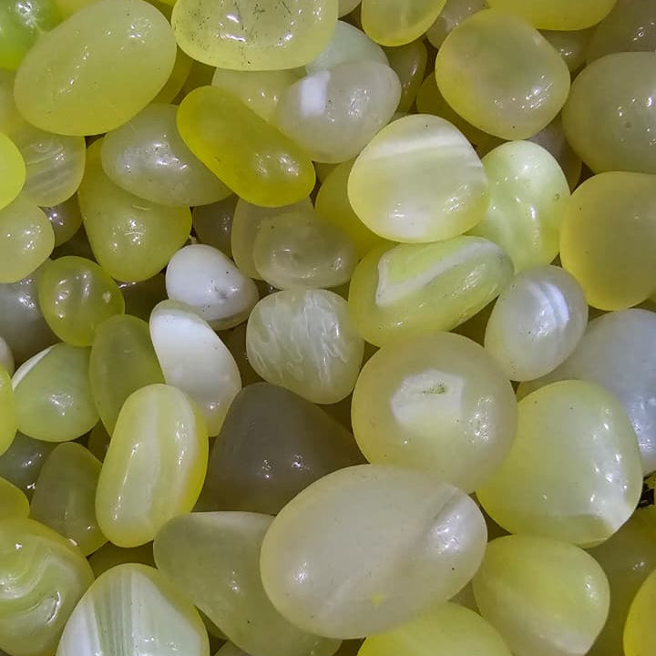 Close-up of green pebble stones with a focus on texture and color.