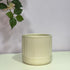 Beige ribbed ceramic pot on a light surface with a blurred green plant in the corner.