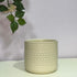 Green textured ceramic pot on a white surface with a light gray background