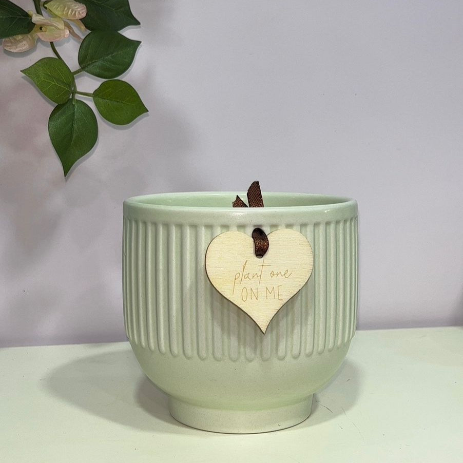 4 Inch Light Green Ceramic Pot