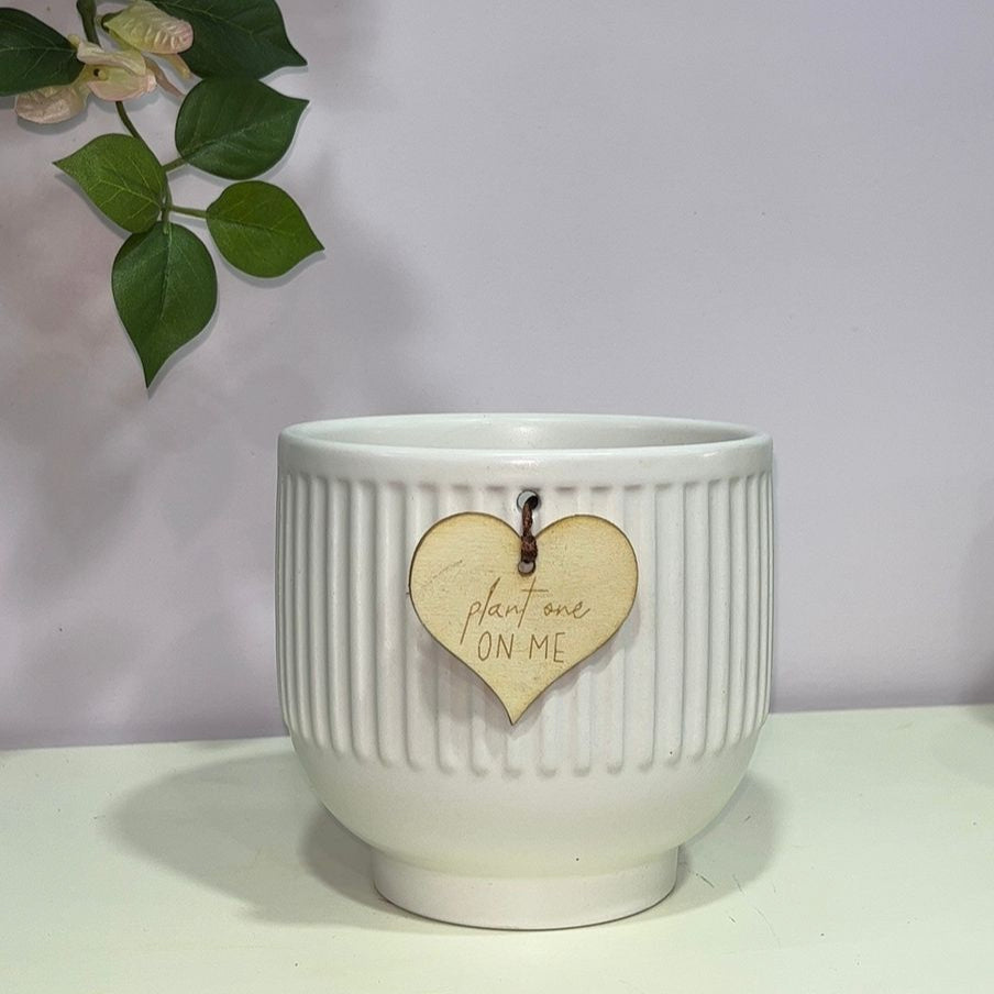 4 Inch White Ceramic Pot – Ribbed Textured Planter