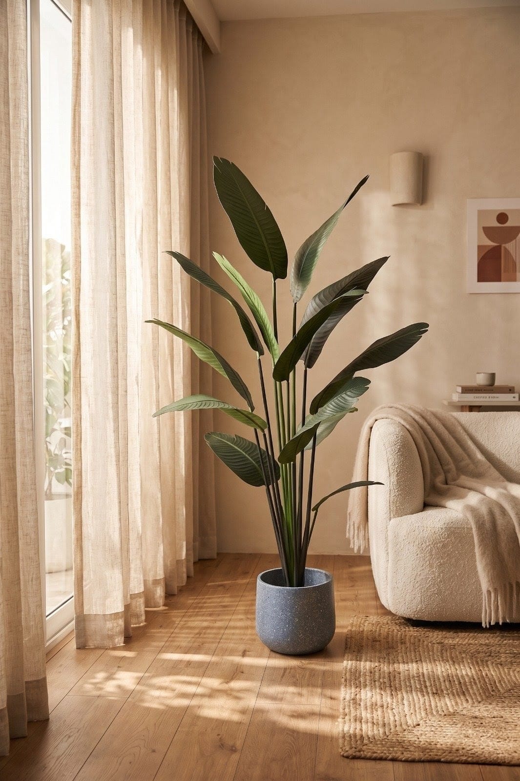 Potted plant in a living room with a window and armchair