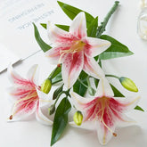 White and pink lilies with green leaves on a white background