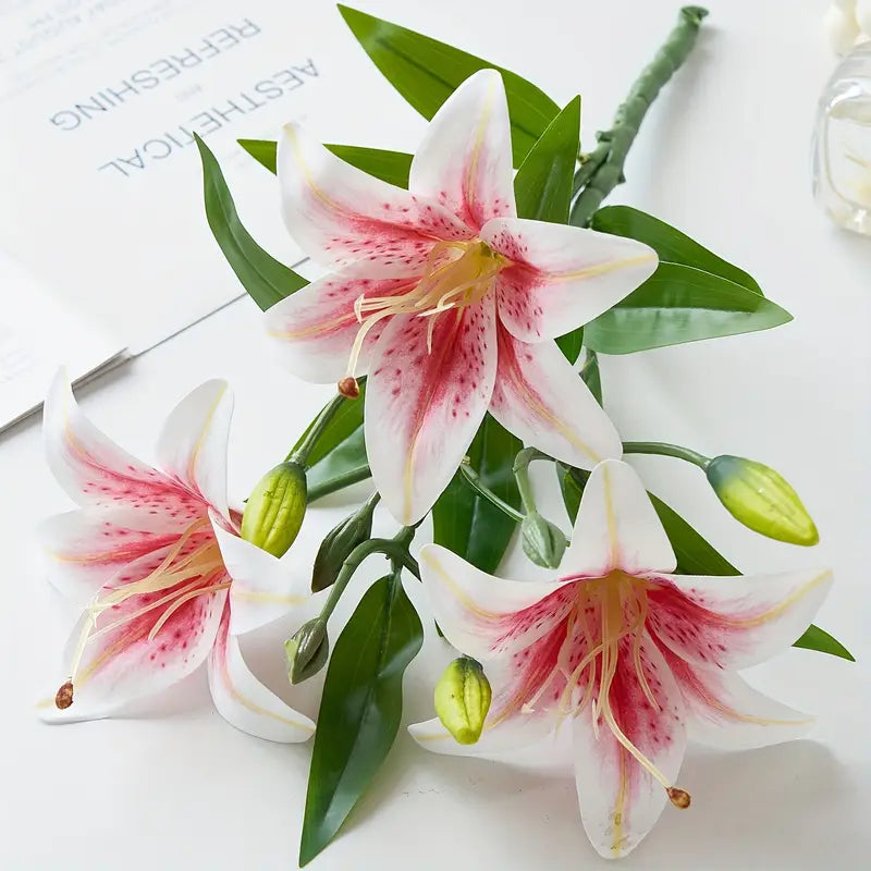 White and pink lilies with green leaves on a white background