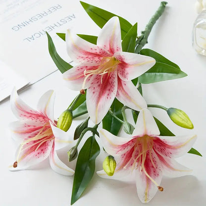 White and pink lilies with green leaves on a white background
